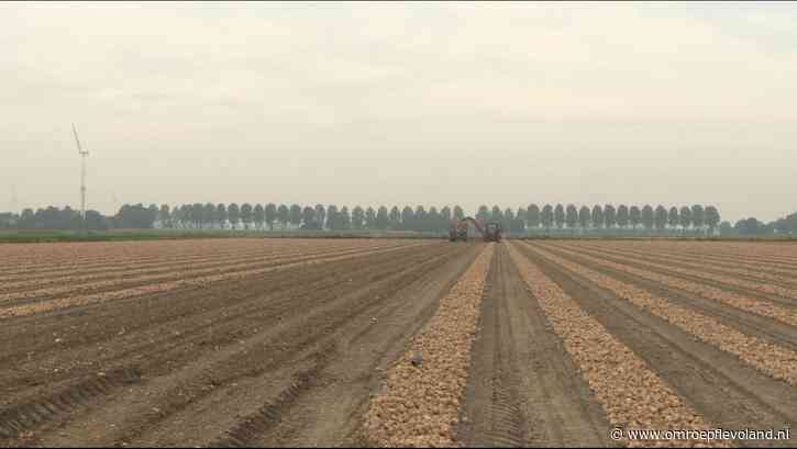 Flevoland - Flevolandse uientelers gezocht voor bodemonderzoek