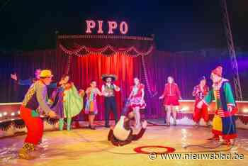 Circus Pipo komt naar Domein Moervelden