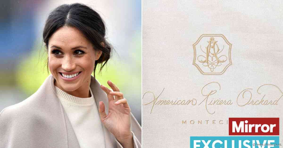 Meghan Markle's brand 'didn't cause much excitement among A-Listers' amid product launch