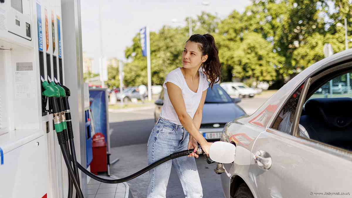 Data analyst reveals the state where gas prices are expected to increase to $10 per gallon