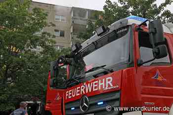 Rostocker Feuerwehr muss immer öfter ausrücken