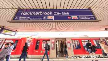 Zwei Männer stechen in S-Bahn auf Opfer ein – Zeugen helfen