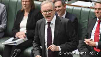 Anthony Albanese: New Resolve Political Monitor poll spells trouble for struggling PM