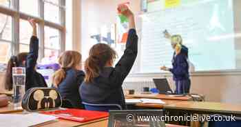 Vast majority of children in Northumberland educated at good or outstanding schools