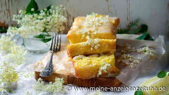 Der Holunder-Zitronen-Kuchen verbindet einen Kuchenklassiker mit saisonalen Zutaten