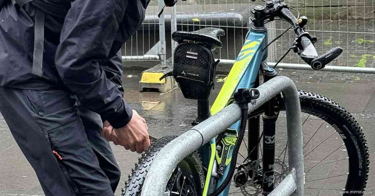 Edinburgh tourists shocked as thief uses pliers to steal bike in broad daylight