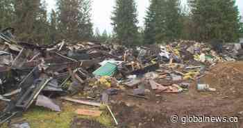 Fire destroys five structures at trailer park in Malakwa, B.C.