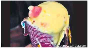 Pune Ice Cream Manufacturer`s License Suspended Over Human Finger Found in Cone