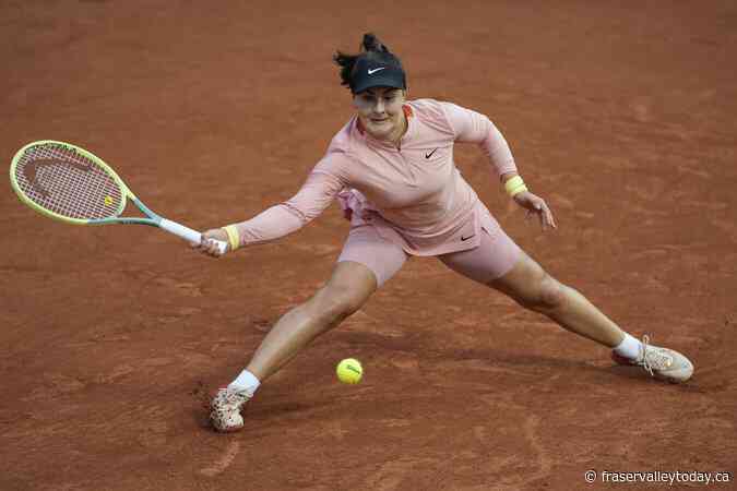 Andreescu drops Libema Open women’s final in three sets to Samsonova