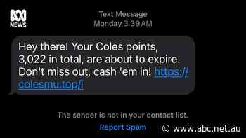 Coles and Telstra are being impersonated by scammers. Here's how to spot a phishing scam
