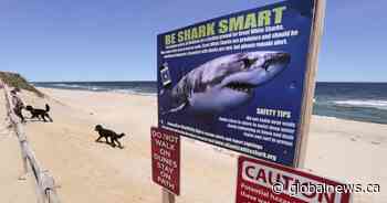 New signs warning of great white sharks for some East Coast beaches