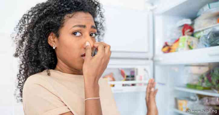 Why your refrigerator smells