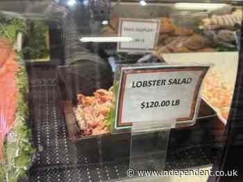 Sounds fishy! Hamptons deli charging $120 for pound of lobster salad