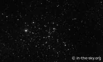 16 Jun 2024 (Today): The Butterfly cluster is well placed