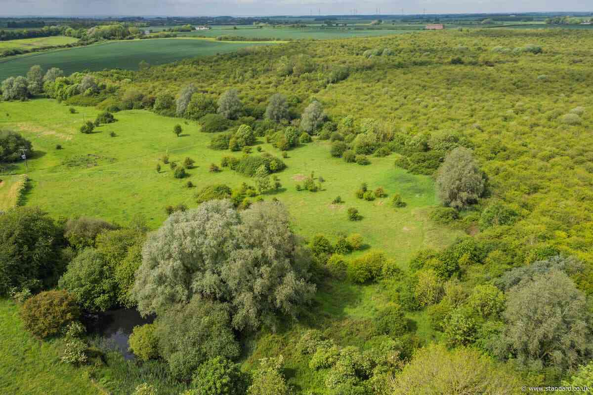 Bid to save early rewilding site that hosts rare nightingales and turtle doves