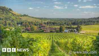 Vineyard pitches English wine against Champagne
