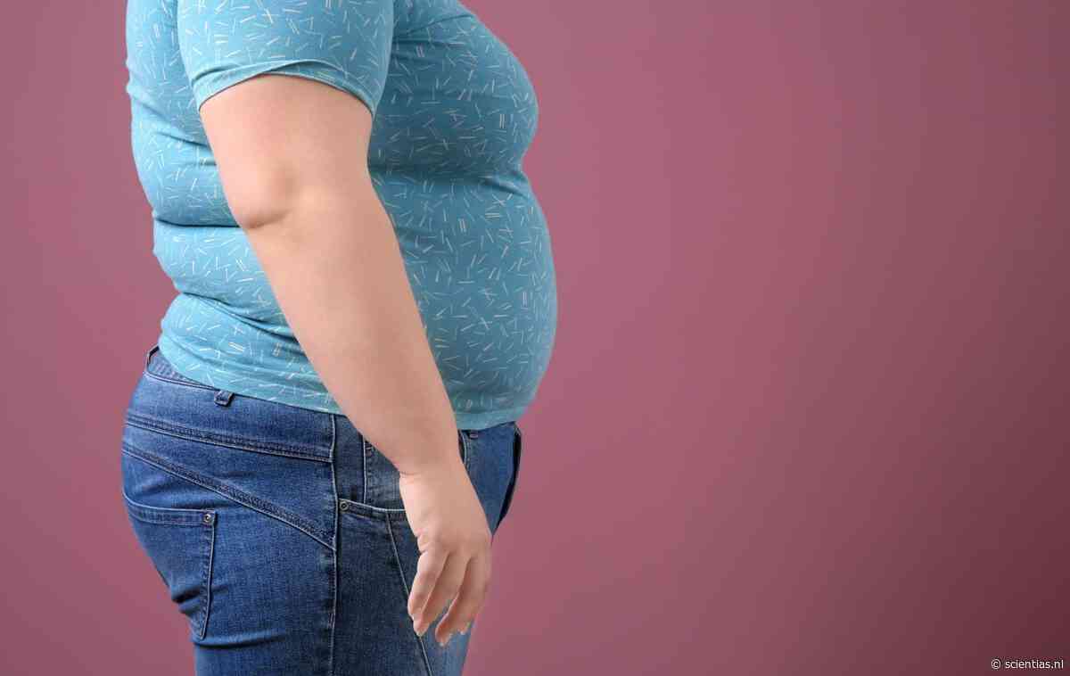 De obesitasparadox: extreem overgewicht vergroot kans op kanker het meest na roken, maar immuuntherapie werkt juist beter