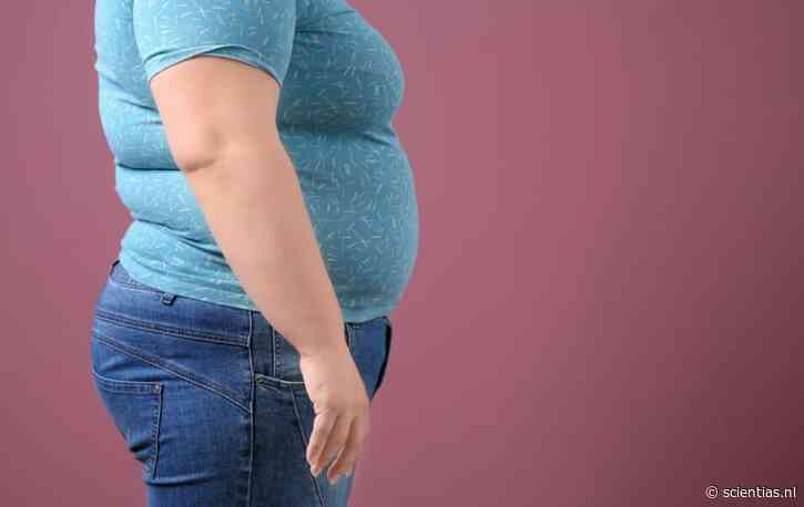 De obesitasparadox: extreem overgewicht vergroot kans op kanker het meest na roken, maar immuuntherapie werkt juist beter