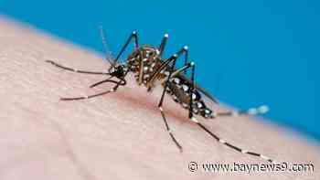 Pinellas County prepares for mosquito season