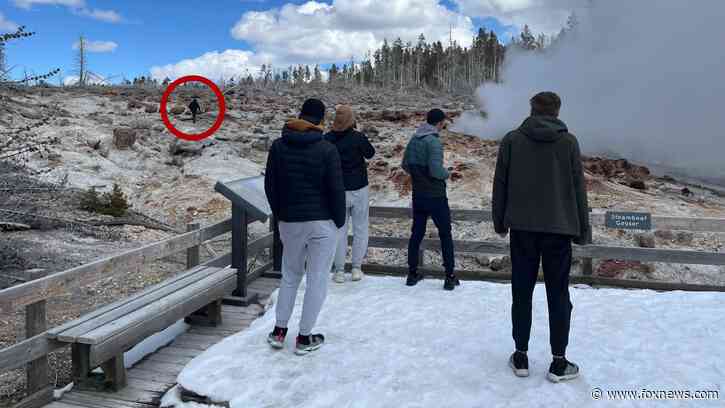 Yellowstone tourist sentenced to 7 days in jail over 'dangerous' caught-on-camera incident