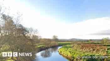 'Substantial' fish kill in River Roe