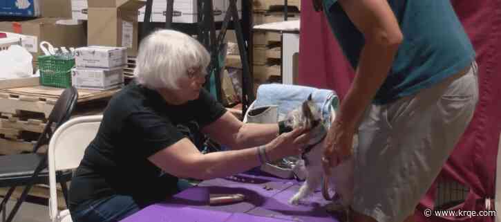 Pawsitive Life Rescue hosts low-cost pet vaccine