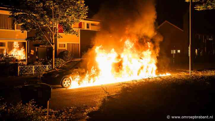 Zes auto's in een wijk door brand verwoest, politie doet onderzoek