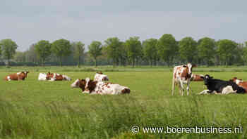 FrieslandCampina tikt meer duurzame melk af