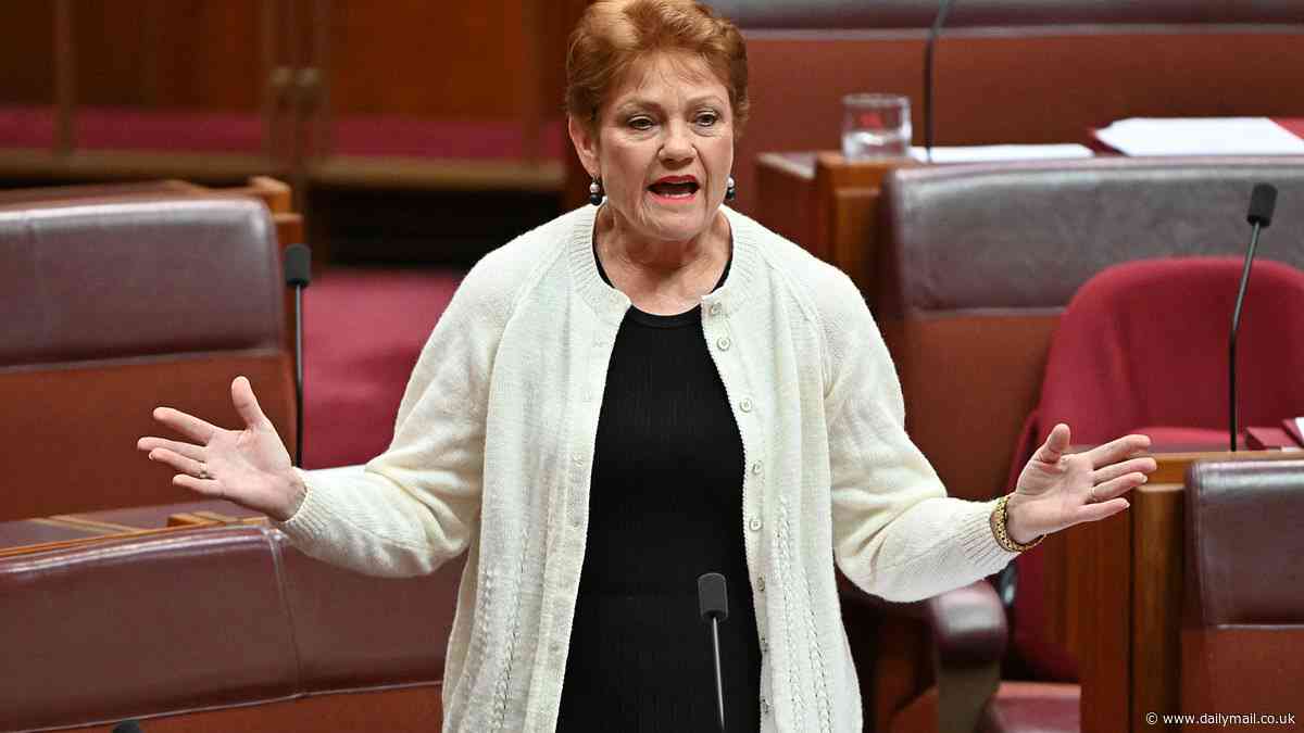 Pauline Hanson's brutal message to Robert Irwin - and why he WILL NOT be happy