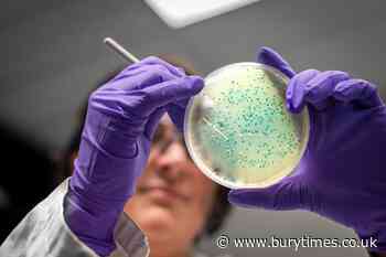 THIS! recalls vegan wrap over E. coli contamination fears