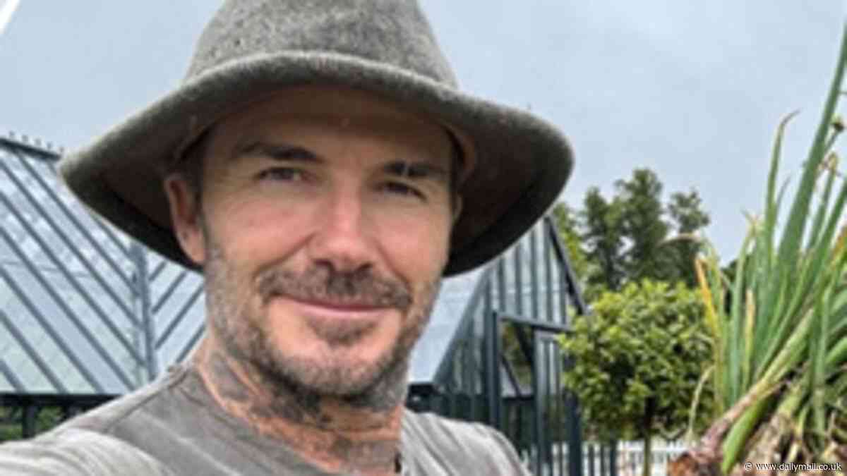 David Beckham gives fans a rare look at his HUGE kitchen garden with Alitex greenhouse at £12m Cotswolds farmhouse as he asks Alan Titchmarsh 'how am I doing?'