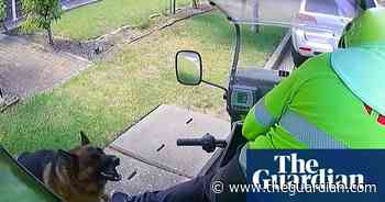 Australia Post releases video of dogs attacking posties - video