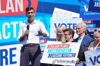 Rishi Sunak tops a tactical voting hit list in plan for Tory wipeout