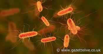 Every Aldi, Tesco, Asda and Sainsbury's sandwich and wrap recalled over E. coli contamination fears