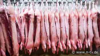 Revanche für E-Auto-Strafzölle: China nimmt Schweinefleisch aus der EU ins Visier