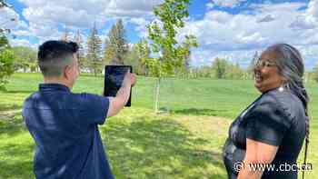 Virtual buffalo will walk side-by-side with Regina park visitors, thanks to new app