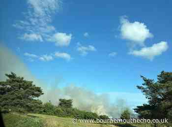 Firefighters extinguish smoky heath fire in Wimborne