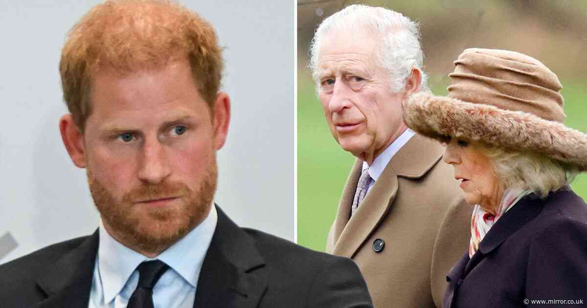 Prince Harry's swipe at Queen Camilla with cruel two-word nickname