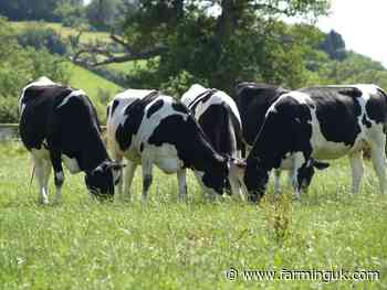 New legislation aims to eradicate bovine viral diarrhoea in Wales
