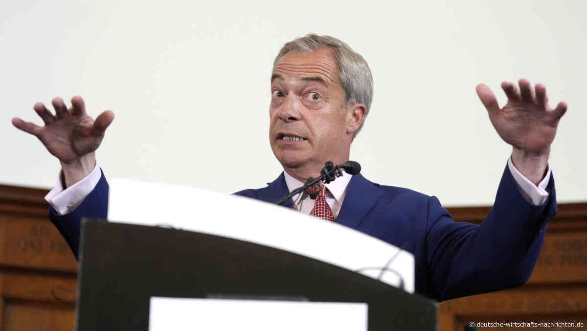 "Mr. Brexit" Nigel Farage: AfD muss bei sich aufräumen