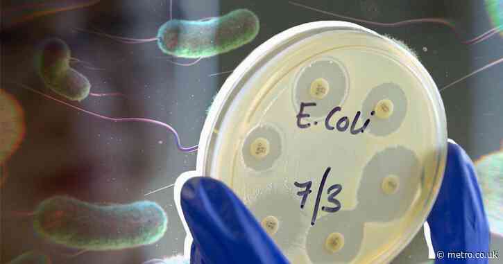 Three most common E. coli symptoms shared as UK supermarkets recall sandwiches
