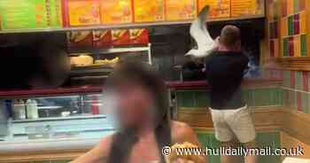 Video shows seagull causing 'carnage' inside takeaway after flying in and running amok