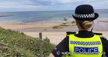 Two arrested and alcohol seized in anti-social behaviour crackdown on North Tyneside beaches