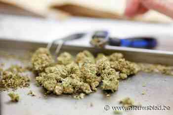 Huurder van loods in Oudsbergen krijgt 30 maanden cel voor cannabisplantage