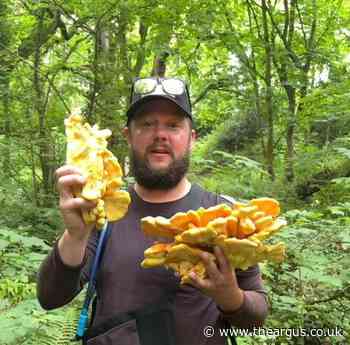 Crawley forager lives of plants he finds and says they cure pain