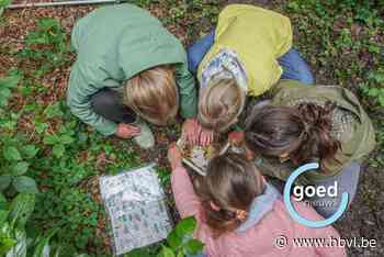 Vijfde leerjaar Klim-op Meeuwen determineert waterdiertjes