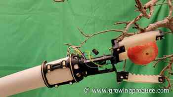 Getting a Better Grip on Automated Apple Harvesting