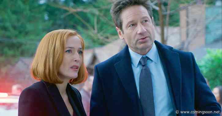David Duchovny Talks The X-Files Reboot, Potential Mulder Return