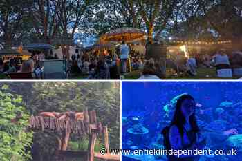 London Zoo nights offers a wild and animal night out: Review