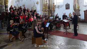 Es lebe die Musik! Der Chor "Viva La Musica" gastiert im Baringer Münster